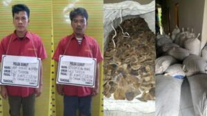 18-karung-sisik-trenggiling-seberat-98722-kg