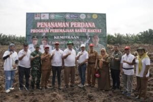 Wakil Bupati Asahan Ikuti Penanaman Perdana Program Peremajaan Sawit Rakyat (PSR)