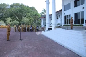 IMG_COM_202601051333033472-768x512