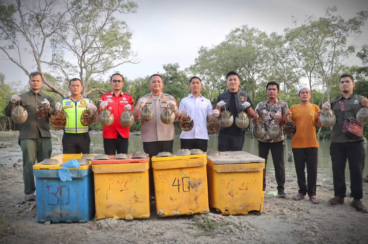 Screenshot_2026_0126_195348