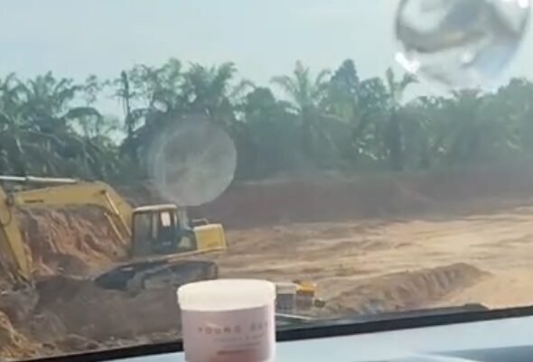 Screenshot_2026-02-11-19-08-58-64_99c04817c0de5652397fc8b56c3b3817