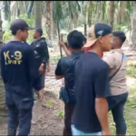 Screenshot_2026_0227_130951