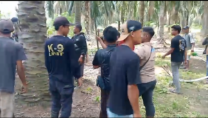 Screenshot_2026_0227_130951