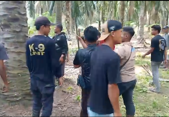 Screenshot_2026_0227_130951