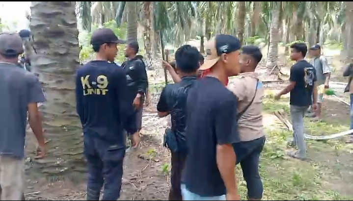 Screenshot_2026_0227_130951